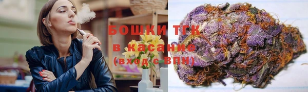 прущие грибы Новодвинск