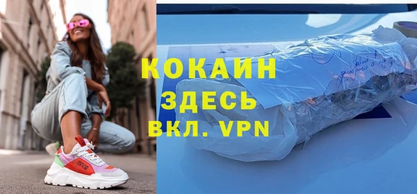 прущие грибы Новодвинск