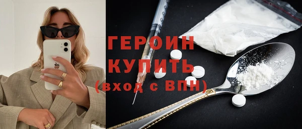прущие грибы Новозыбков