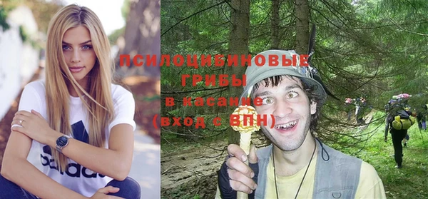 прущие грибы Новозыбков