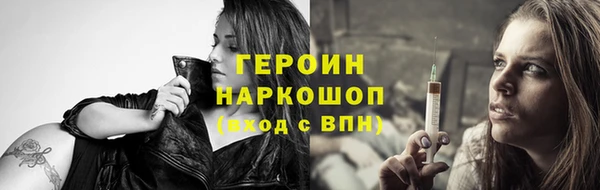 прущие грибы Новодвинск