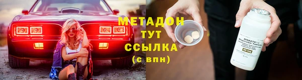 прущие грибы Новозыбков