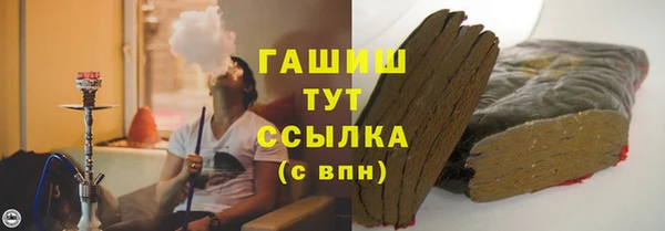прущие грибы Новодвинск