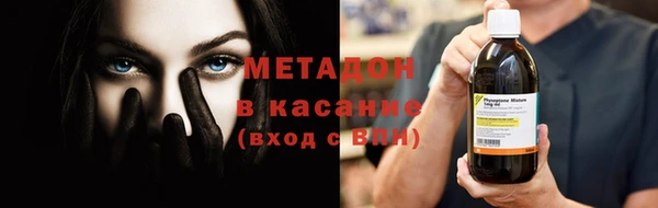 прущие грибы Новодвинск
