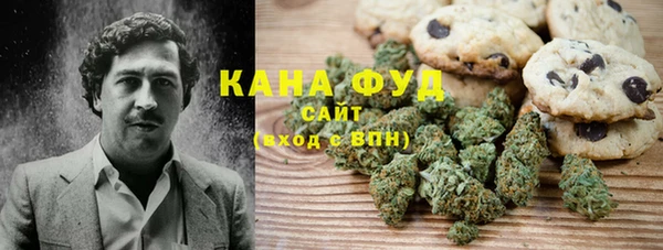 прущие грибы Новозыбков