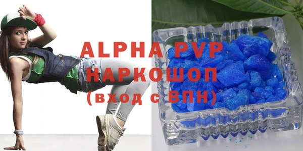 прущие грибы Новозыбков