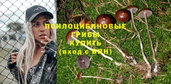 дурь Нея