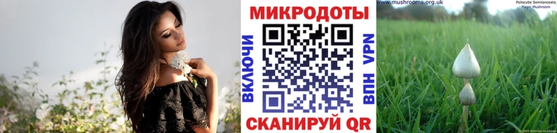 Галлюциногенные грибы Cubensis  цены наркотик  Пучеж 